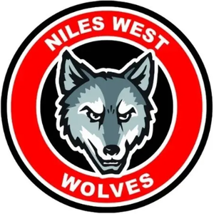 Team Page: Niles West HS Students